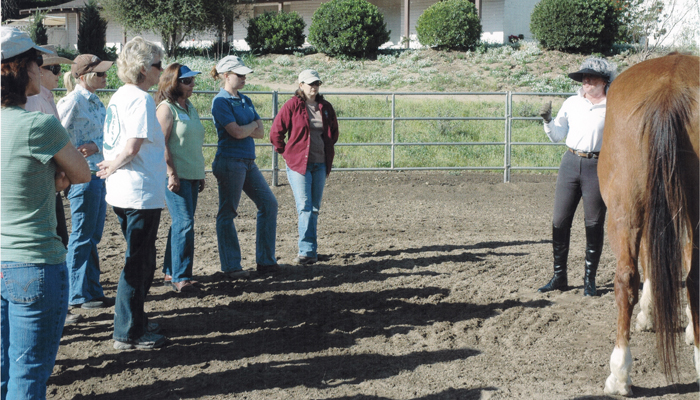 Group Riding Lessons in San Diego County California 700X400
